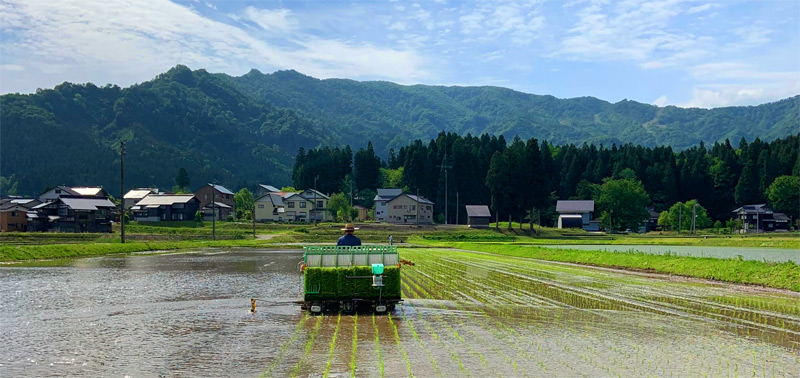 舞子の宿|グリーンシーズンは農業